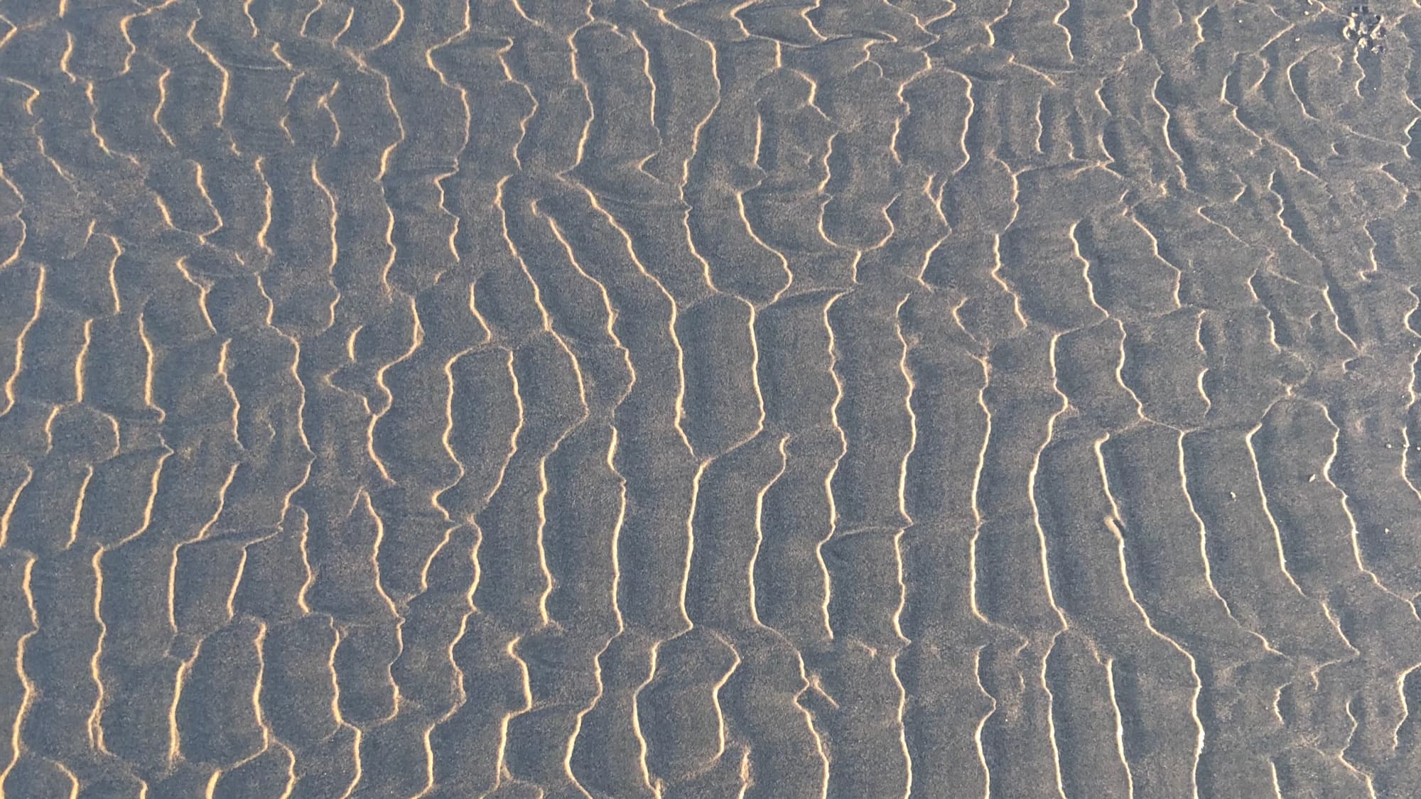 Beach sand rippled into a pattern by water.